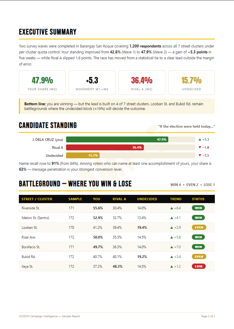 Executive summary and battleground